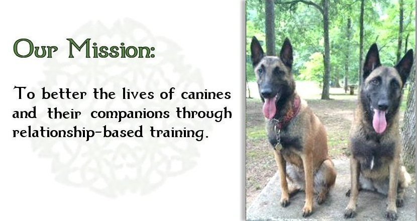 East Texas dog, puppy training consultation for obedience, socialization, basic commands