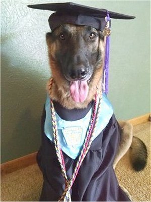 Training Graduate